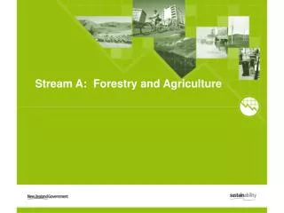 Stream A: Forestry and Agriculture