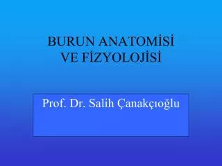 burun anatom s ve f zyoloj s