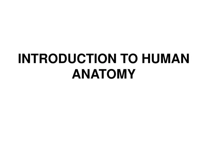 introduction to human anatomy