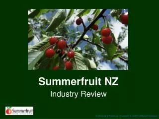 Summerfruit NZ Industry Review