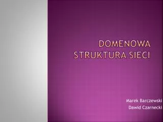domenowa struktura sieci