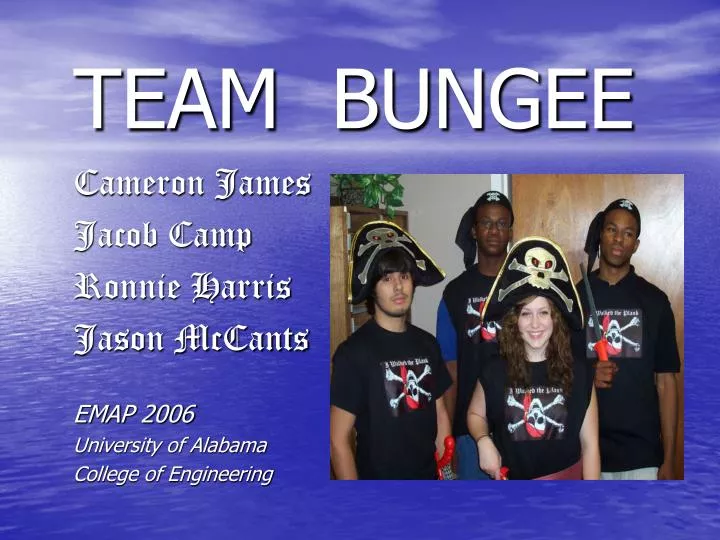 team bungee