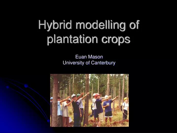 hybrid modelling of plantation crops