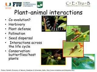 Plant-animal interactions