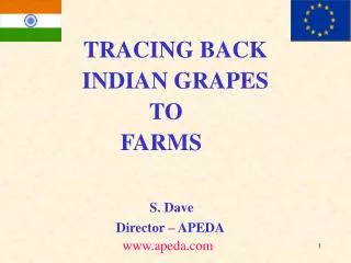 TRACING BACK INDIAN GRAPES TO FARMS S. Dave