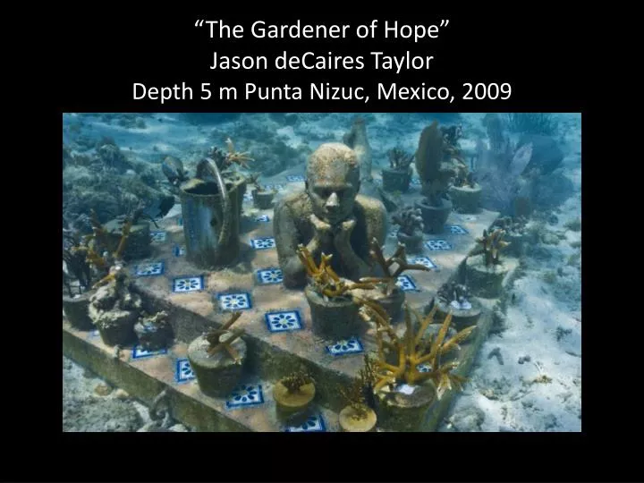 the gardener of hope jason decaires taylor depth 5 m punta nizuc mexico 2009