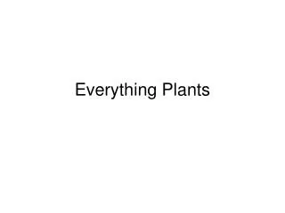 Everything Plants