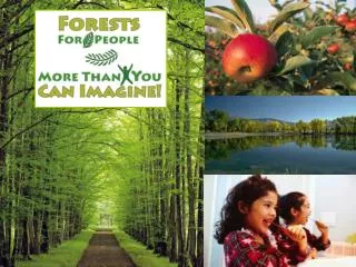 Forests For People More Than You Can Imagine!