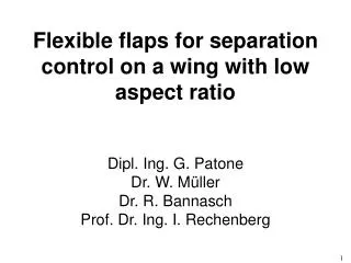 Flexible flaps for separation control on a wing with low aspect ratio