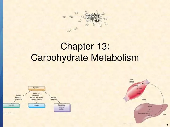 chapter 13 carbohydrate metabolism