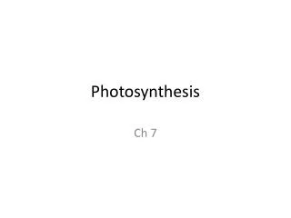 photosynthesis