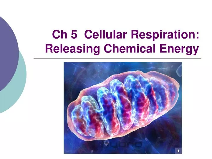 ch 5 cellular respiration releasing chemical energy
