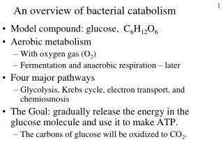 An overview of bacterial catabolism