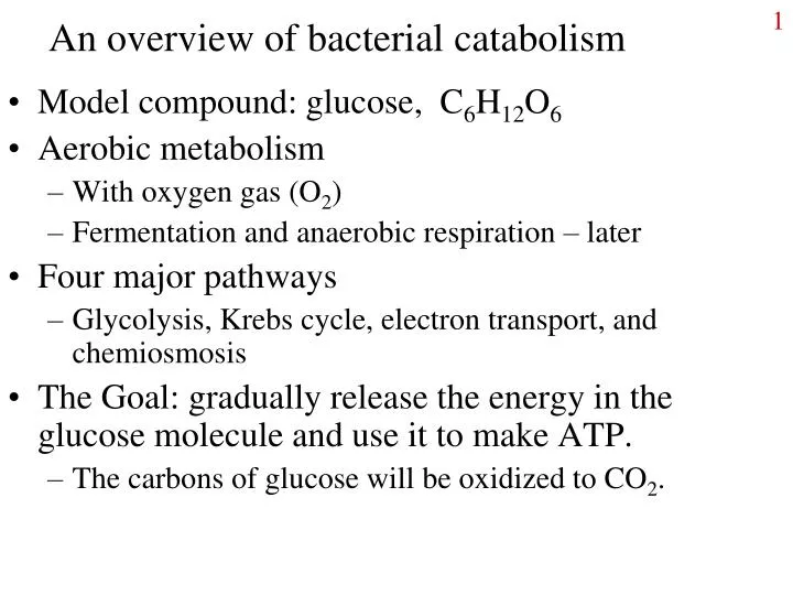 an overview of bacterial catabolism