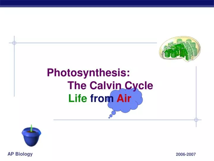 photosynthesis the calvin cycle life from air