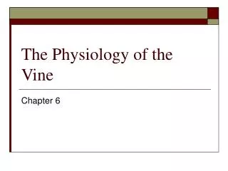 The Physiology of the Vine