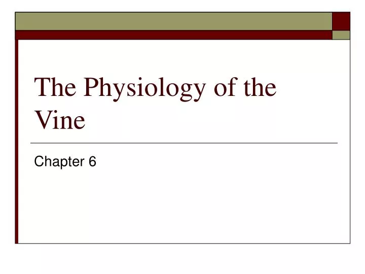 the physiology of the vine