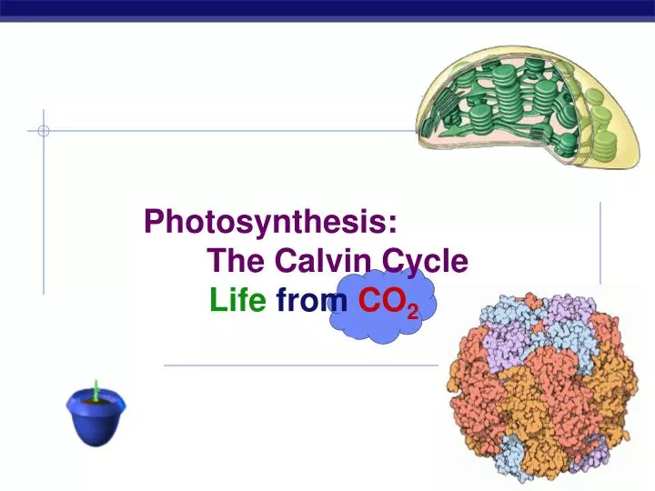 photosynthesis the calvin cycle life from co 2