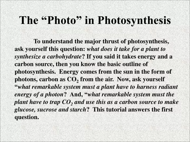 the photo in photosynthesis