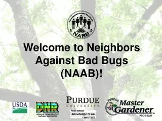 Welcome to Neighbors Against Bad Bugs (NAAB)!