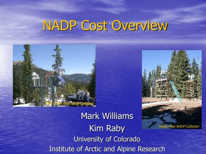 nadp cost overview