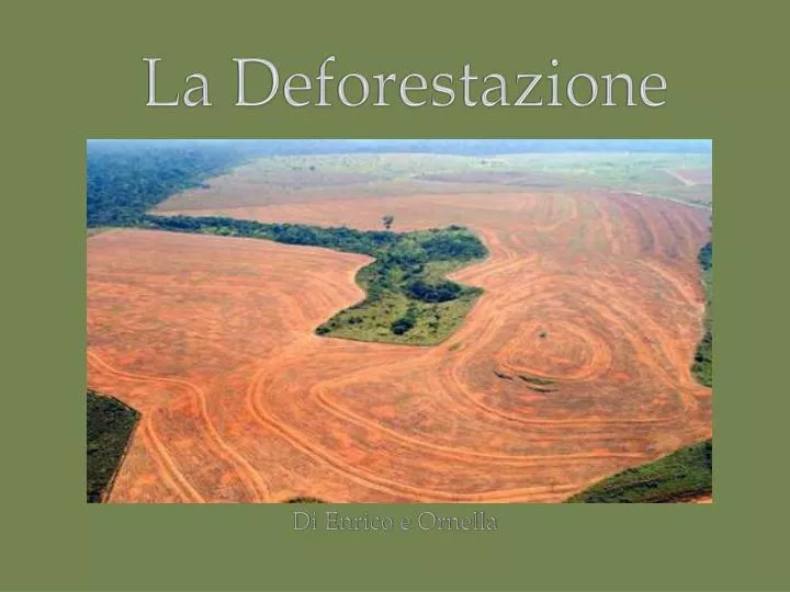 la deforestazione