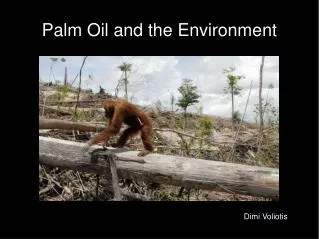 Palm Oil and the Environment