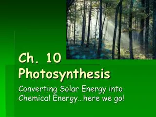 Ch. 10 Photosynthesis