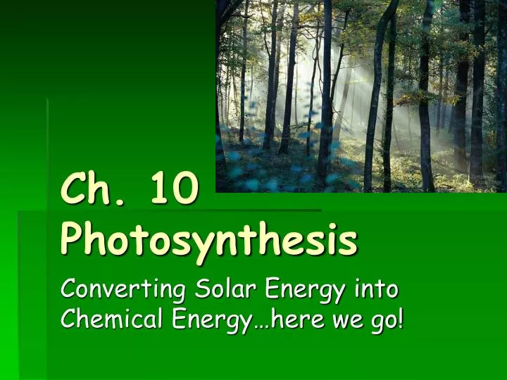 ch 10 photosynthesis