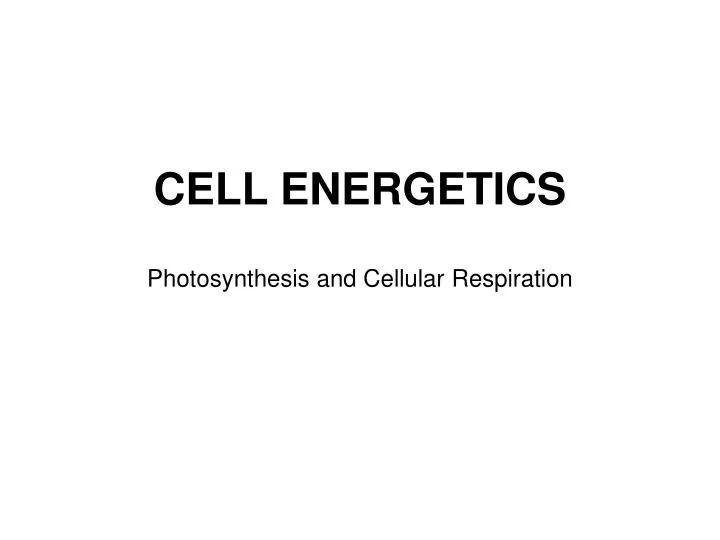 cell energetics