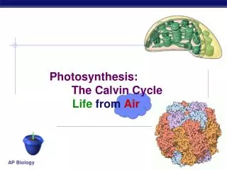 Photosynthesis: 	 The Calvin Cycle 		Life from Air