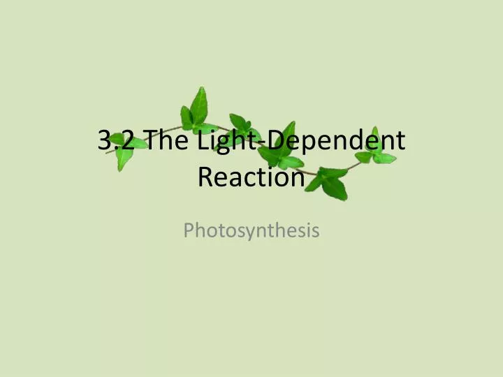 3 2 the light dependent reaction