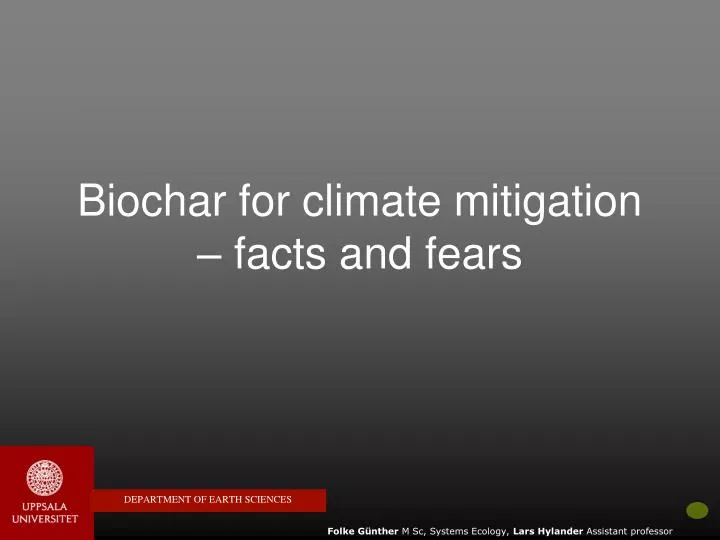 biochar for climate mitigation facts and fears