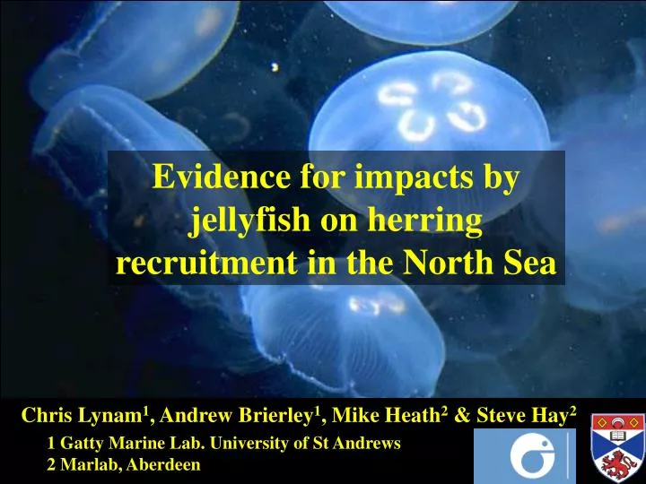 evidence for impacts by jellyfish on herring recruitment in the north sea