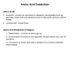 Amino Acid Catabolism - slide 1