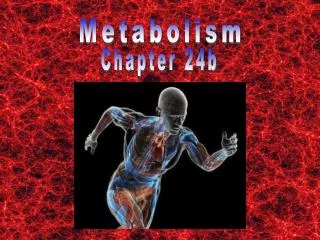 Metabolism