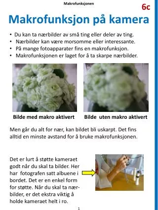 makrofunksjon p kamera