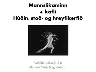 Mannslíkaminn 4. kafli Húðin, stoð- og hreyfikerfið