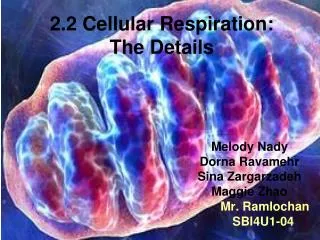 2.2 Cellular Respiration: The Details