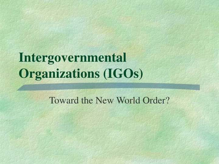 intergovernmental organizations igos