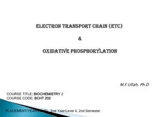 Electron Transport Chain (ETC) &amp; Oxidative Phosphorylation