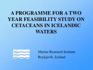 A PROGRAMME FOR A TWO YEAR FEASIBILITY STUDY ON CETACEANS IN ICELANDIC WATERS