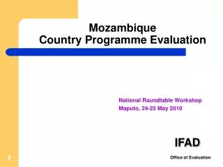 Mozambique Country Programme Evaluation
