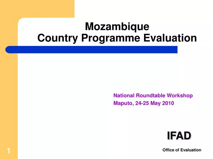 national roundtable workshop maputo 24 25 may 2010