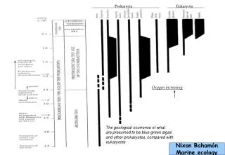 The geological ocurrence of what are presumed to be blue-green algae