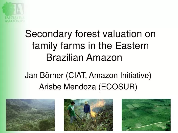 secondary forest valuation on family farms in the eastern brazilian amazon