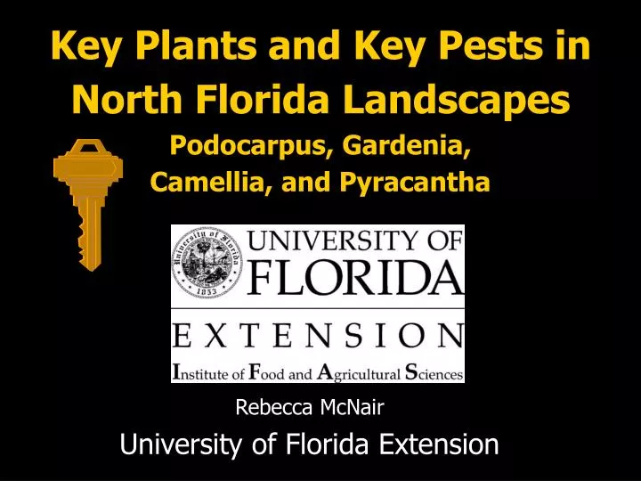 key plants and key pests in north florida landscapes podocarpus gardenia camellia and pyracantha