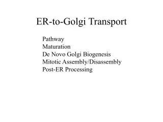 ER-to-Golgi Transport