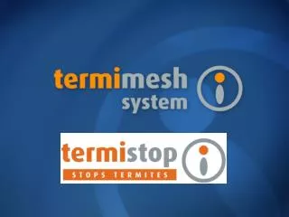 What is Termimesh?