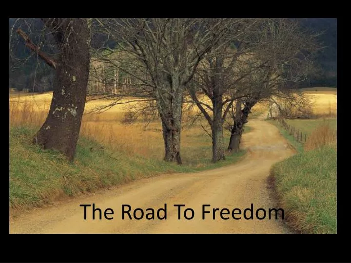 the road to freedom